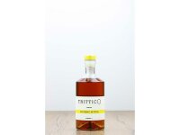 Domenis 1898 TRITTICO BOTANICAL BITTER Amaro  0,7l