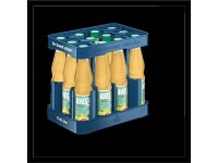 Vilsa Sportschorle PET 12x0,5l