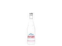 Evian Glas 20x0,5l*